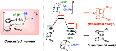 Graphical abstract: Metal-free catalytic hydroboration of imine with pinacolborane using a pincer-type phosphorus compound: mechanistic insight and improvement of the reaction
