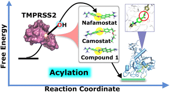 Graphical abstract: A quantum chemical study on the anti-SARS-CoV-2 activity of TMPRSS2 inhibitors
