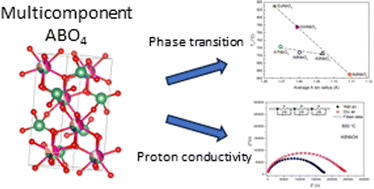 Graphical abstract: Proton conductivity in multi-component ABO4-type oxides