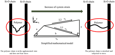 Graphical abstract: A toughening mechanism of the strain rate-optimal chain length on polymer-modified calcium silicate hydrates (CSH)