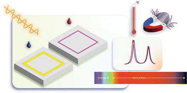 Graphical abstract: A dual functional asymmetric plasmonic silver nanostructure for temperature and magnetic field sensing