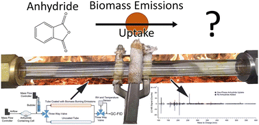 Graphical abstract: Unexpected electrophiles in the atmosphere – anhydride nucleophile reactions and uptake to biomass burning emissions