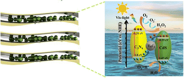 Graphical abstract: In situ fabrication of Z-scheme C3N4/Ti3C2/CdS for efficient photocatalytic hydrogen peroxide production