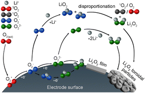 Graphical abstract: Mixture of an ionic liquid and organic solvent at graphene: interface structure and ORR mechanism