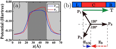 Graphical abstract: Tunnel electroresistance effect in a two-dimensional organic ferroelectric tunnel junction