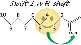 Graphical abstract: A systematic study on the kinetics of H-shift reactions in pristine acyl peroxy radicals