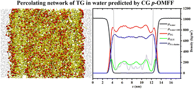 Graphical abstract: Structural and thermodynamic properties of bulk triglycerides and triglyceride/water mixtures reproduced using a polarizable coarse-grained model