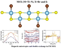 Graphical abstract: Mechanical, magnetic and electronic properties of 2D MSX (M = Ti, V, Co and Ni, X = Br and I)