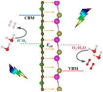 Graphical abstract: The polarized electric field of CdTe/B4C3 heterostructure efficiently promotes its photocatalytic overall water splitting