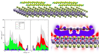 Graphical abstract: Interaction between pentacene molecules and monolayer transition metal dichalcogenides