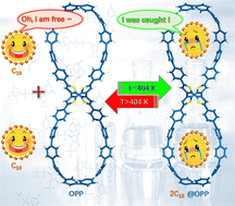 Graphical abstract: Molecular assembly with a figure-of-eight nanohoop as a strategy for the collection and stabilization of cyclo[18]carbon