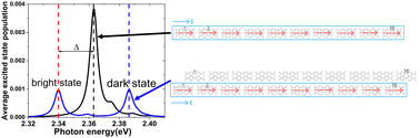 Graphical abstract: Optical response and multi-exciton effects in 2D PTCDA aggregates with local excitation