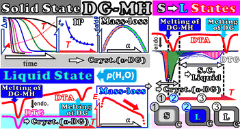 Graphical abstract: Thermal dehydration of d-glucose monohydrate in solid and liquid states