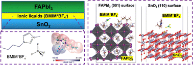 Graphical abstract: Unraveling the dynamic behaviors of BF4-based ionic liquids at the SnO2/FAPbI3 interface using ab initio molecular dynamics simulations