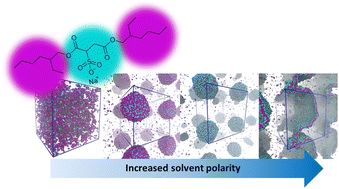 Graphical abstract: Dioctyl sodium sulfosuccinate surfactant self-assembly dependency of solvent hydrophilicity: a modelling study