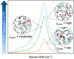 Graphical abstract: Structural evolution of water-in-propylene carbonate mixtures revealed by polarized Raman spectroscopy and molecular dynamics
