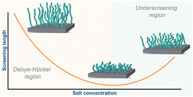 Graphical abstract: Underscreening in concentrated electrolytes: re-entrant swelling in polyelectrolyte brushes