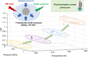 Graphical abstract: Er3+ doped nanoparticles as upconversion thermometer probes in confined fluids