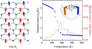 Graphical abstract: An antiferromagnetic semiconducting FeCN2 monolayer with a large magnetic anisotropy and strong magnetic coupling