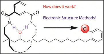 Graphical abstract: The use of molecular electronic structure methods to investigate mechanically interlocked molecules