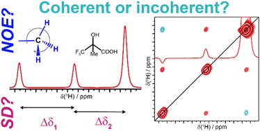 Graphical abstract: The effect of methyl group rotation on 1H–1H solid-state NMR spin-diffusion spectra