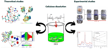 Graphical abstract: Dissolution mechanism of cellulose in a benzyltriethylammonium/urea deep eutectic solvent (DES): DFT-quantum modeling, molecular dynamics and experimental investigation