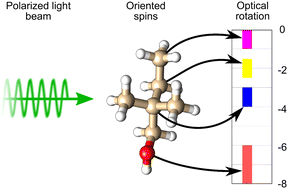 Graphical abstract: Characteristic nuclear spin-induced optical rotation in oxygen-containing organic molecules