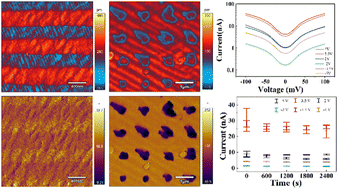 Graphical abstract: An electric-field-driven ferroelectric nanodomain structure and its multilevel data storage application