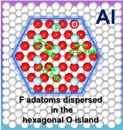 Graphical abstract: Morphology evolution of the aluminum surface in a fluorine-containing environment