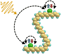 Graphical abstract: Laser-induced ultrafast spin-transfer processes in non-linear zigzag carbon chain systems