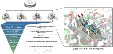 Graphical abstract: In silico screening and computational evaluation of novel promising USP14 inhibitors targeting the palm–thumb pocket