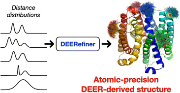 Graphical abstract: DEERefiner-assisted structural refinement using pulsed dipolar spectroscopy: a study on multidrug transporter LmrP