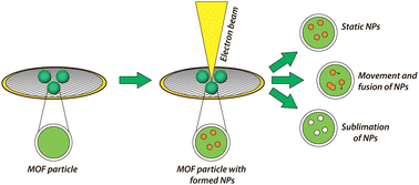 Graphical abstract: Dynamic behavior of metal nanoparticles in MOF materials: analysis with electron microscopy and deep learning