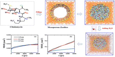 Graphical abstract: Molecular-scale insights into confined clindamycin in nanoscale pores of mesoporous silica