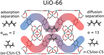 Graphical abstract: Mobility and separation of linear and branched C5 alkanes in UiO-66 (Zr) probed by 2H NMR and MD simulations