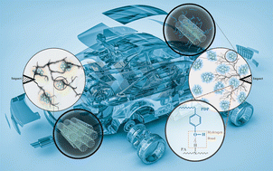 Graphical abstract: Molecular dynamics simulation of the 3–15alkyphenol compatibilizer in highly toughened and robust polyamide 10,12/MWCNT composites