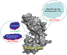 Graphical abstract: Identification and characterization of the conformation and size of amyloid-β (42) oligomers targeting the receptor LilrB2