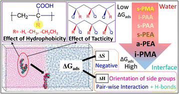 Graphical abstract: Complex role of chemical nature and tacticity in the adsorption free energy of carboxylic acid polymers at the oil–water interface: molecular dynamics simulations