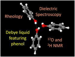 Graphical abstract: Phenol, the simplest aromatic monohydroxy alcohol, displays a faint Debye-like process when mixed with a nonassociating liquid