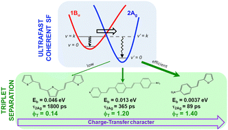 Graphical abstract: Unveiling the double triplet nature of the 2Ag state in conjugated stilbenoid compounds to achieve efficient singlet fission