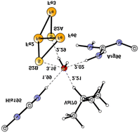 Graphical abstract: The mechanism for N2 activation in the E4 – state of nitrogenase