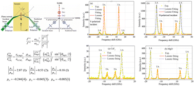 Graphical abstract: Photoelasticity of a MgO single crystal from polarized Brillouin scattering spectroscopy