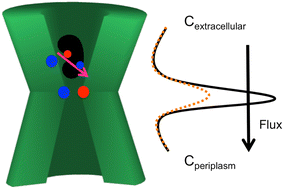 Graphical abstract: The mechanism of an electrostatic nanofilter: overcoming entropy with electrostatics