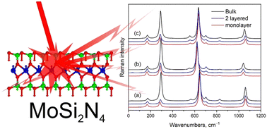 Graphical abstract: Phonon dynamics in MoSi2N4: insights from DFT calculations