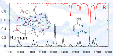 Graphical abstract: Computational analysis of the vibrational spectra and structure of aqueous cytosine