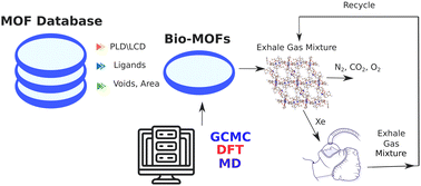 Graphical abstract: Noncovalent chemistry of xenon opens the door for anesthetic xenon recovery using Bio-MOFs