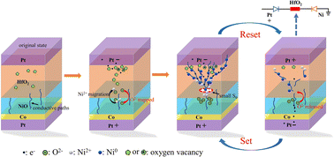 Graphical abstract: Improved resistive switching performance and realized electric control of exchange bias in a NiO/HfO2 bilayer structure