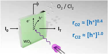 Graphical abstract: Photoinduced absorption spectroscopy (PIAS) study of water and chloride oxidation by a WO3 photoanode in acidic solution