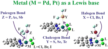 Graphical abstract: Pd and Pt metal atoms as electron donors in σ-hole bonded complexes