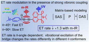 Graphical abstract: Electron transfer rate modulation with mid-IR in butadiyne-bridged donor–bridge–acceptor compounds